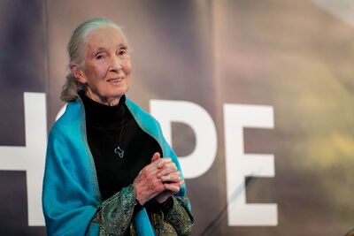Autentic Studios announces the start of filming for “The Science of Hope” with Jane Goodall