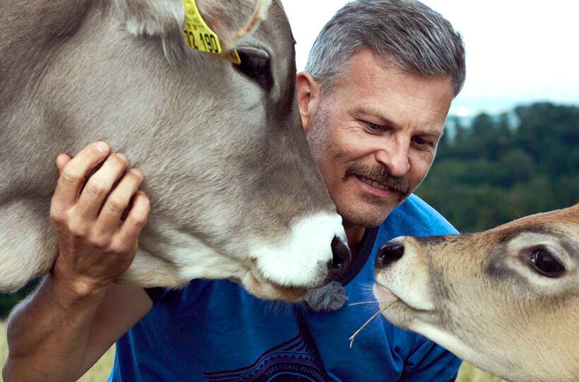 The Cow Whisperer The Cow Whisperer