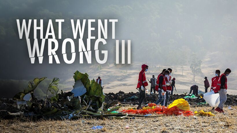 What Went Wrong III