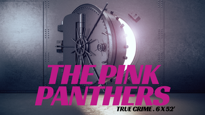 THE PINK PANTHERS is finalist of the MIPDOC Project Pitch Competition